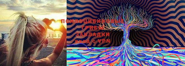 круглые Абаза