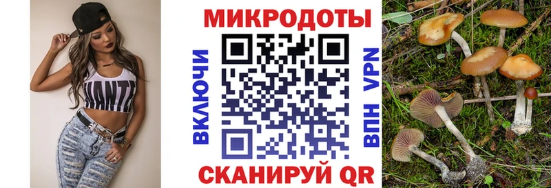 Псилоцибиновые грибы Psilocybe  mega ССЫЛКА  Злынка  где продают  