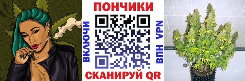 купить наркотики цена  Злынка  Бошки марихуана Ganja 